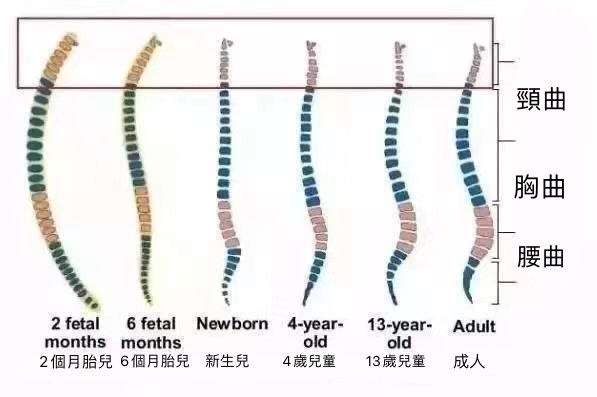 S__287137810 S__287137810