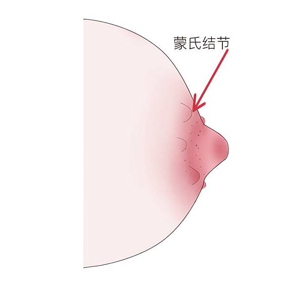 S__289595399 S__289595399