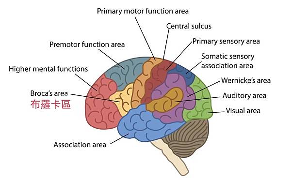 S__298532875 S__298532875