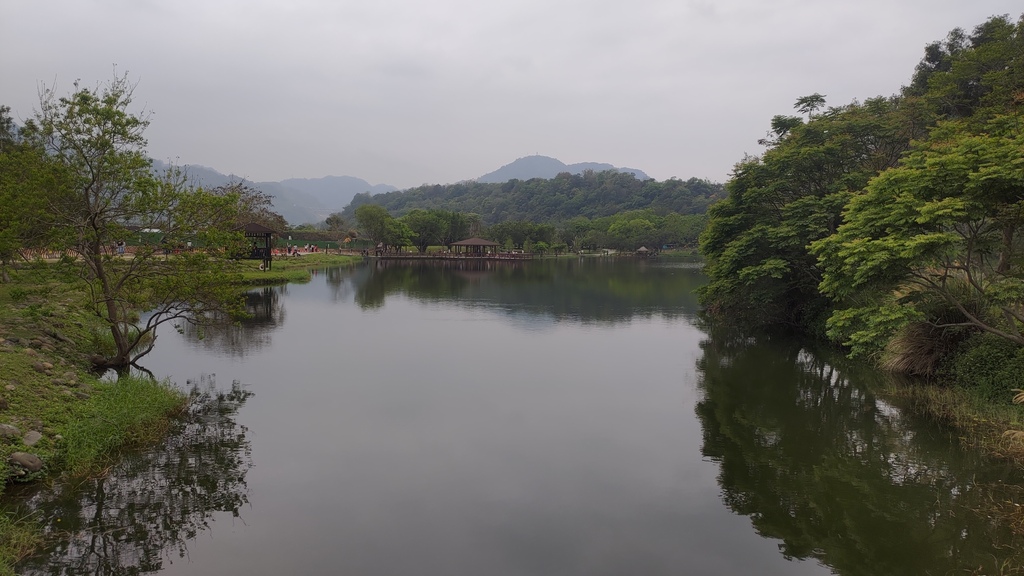 P_20230404_104202.jpg P_20230404_104202.jpg