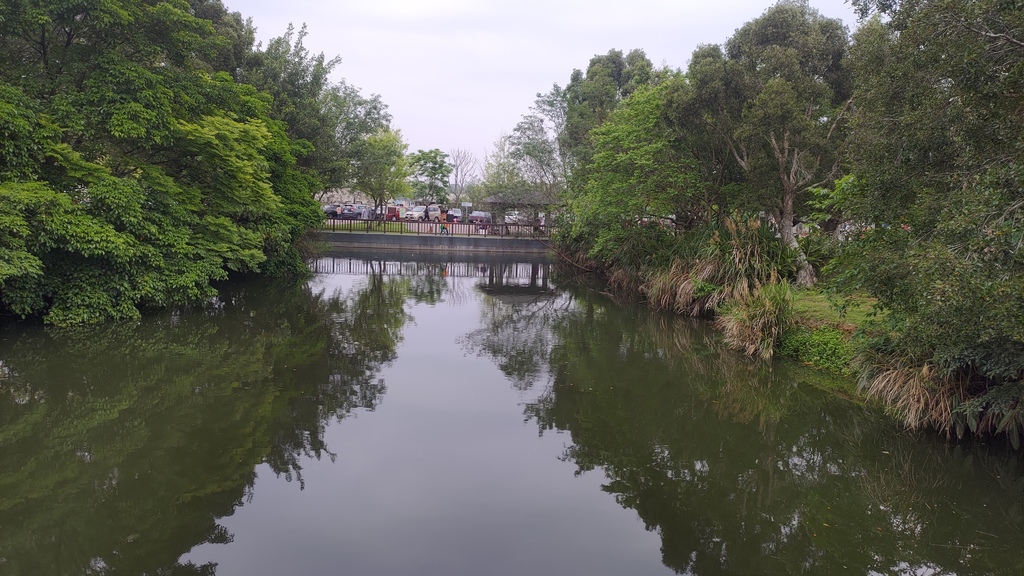 P_20230404_104211.jpg P_20230404_104211.jpg