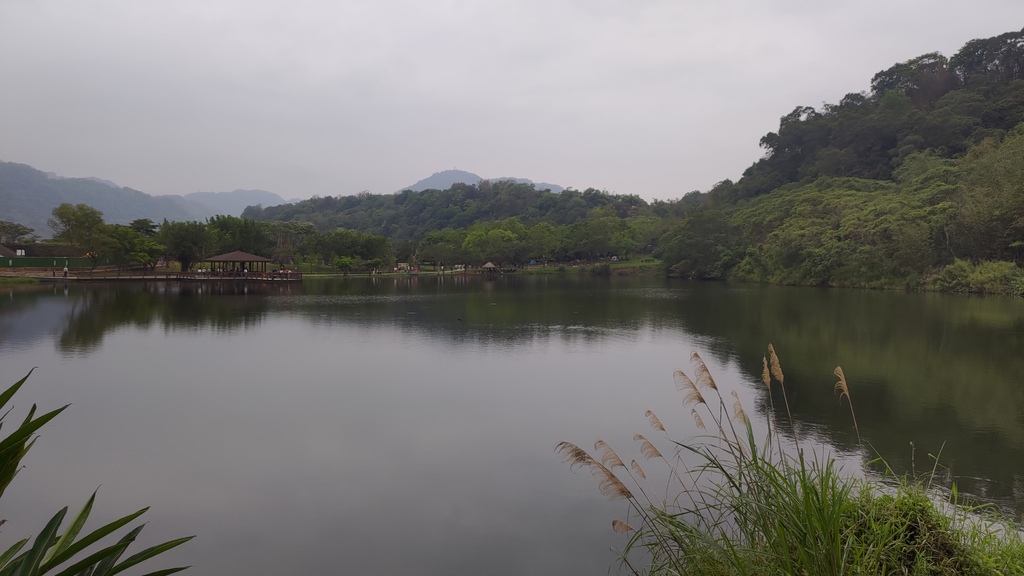 P_20230404_104321.jpg P_20230404_104321.jpg