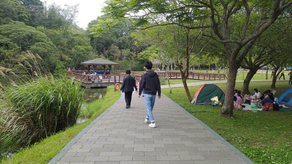 P_20230404_104356.jpg P_20230404_104356.jpg