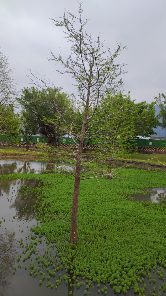 P_20230404_110123.jpg P_20230404_110123.jpg