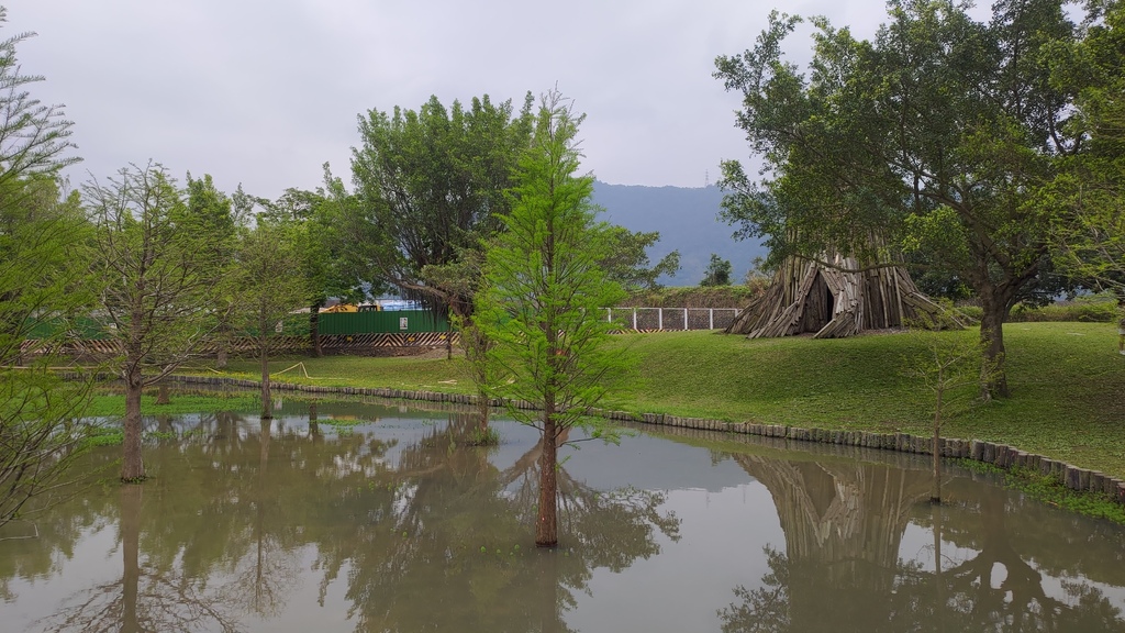 P_20230404_110221.jpg P_20230404_110221.jpg