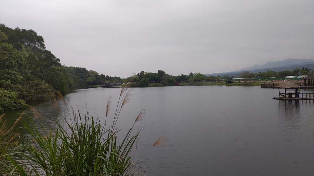 P_20230404_110428.jpg P_20230404_110428.jpg