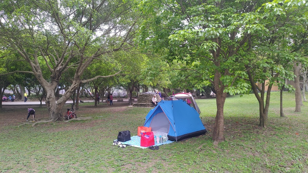 P_20230404_110700.jpg P_20230404_110700.jpg