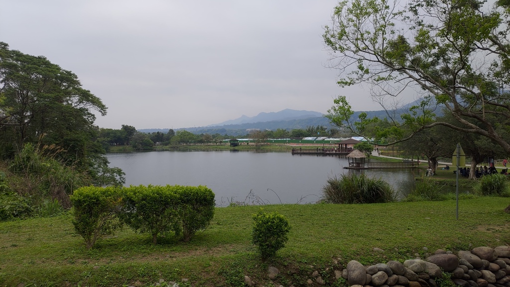 P_20230404_110714.jpg P_20230404_110714.jpg