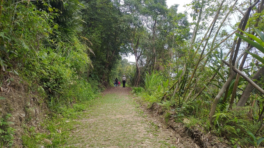 P_20230404_111005.jpg P_20230404_111005.jpg