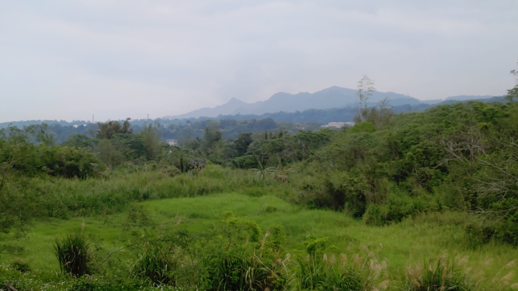 P_20230404_111714.jpg P_20230404_111714.jpg