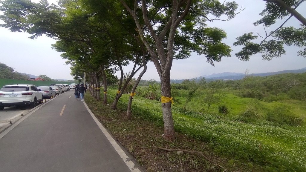 P_20230404_111725.jpg P_20230404_111725.jpg