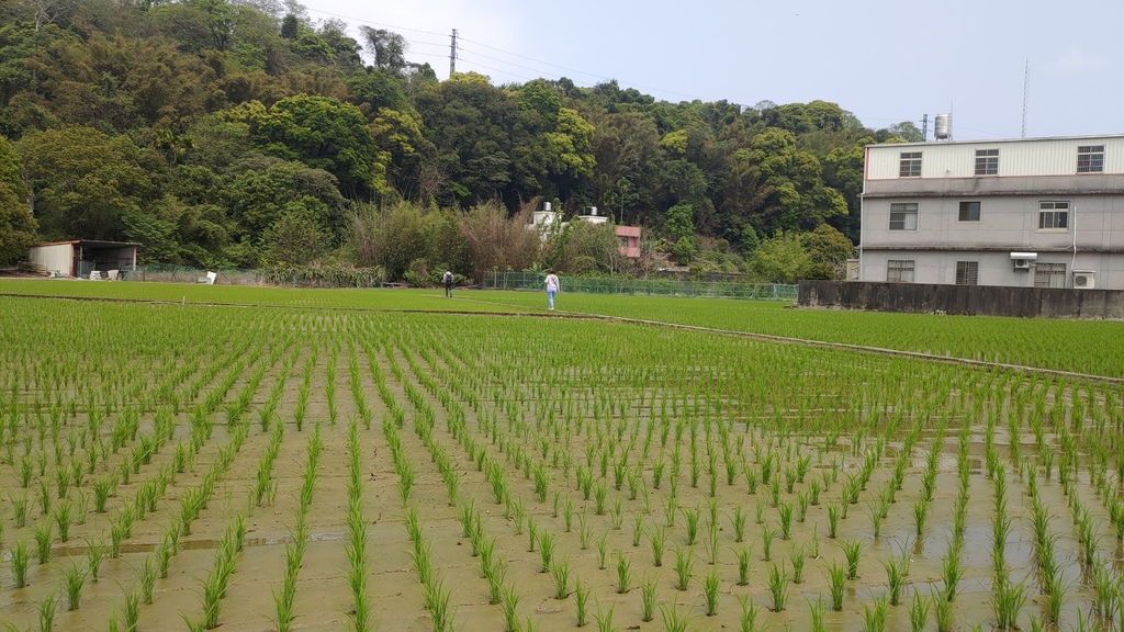 P_20230404_123245.jpg P_20230404_123245.jpg