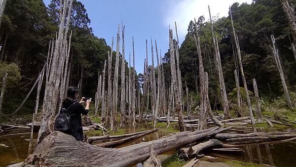 220416南投竹山忘憂森林