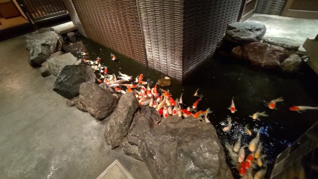 230901日本千葉靜岡六日遊(一)全世界最長懸吊式電車~ま