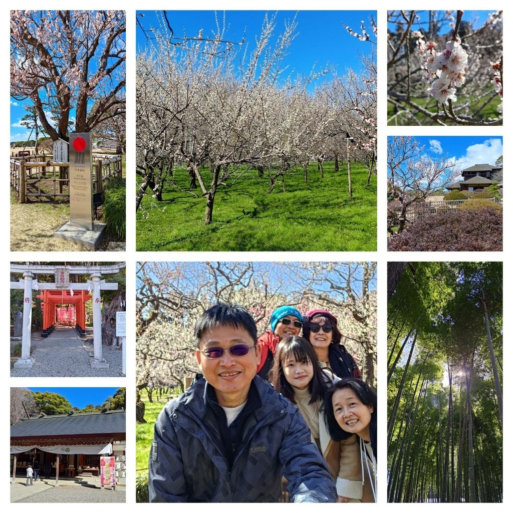 240310日本茨城栃木(二)偕樂園.常磐神社賞梅~水戶城.