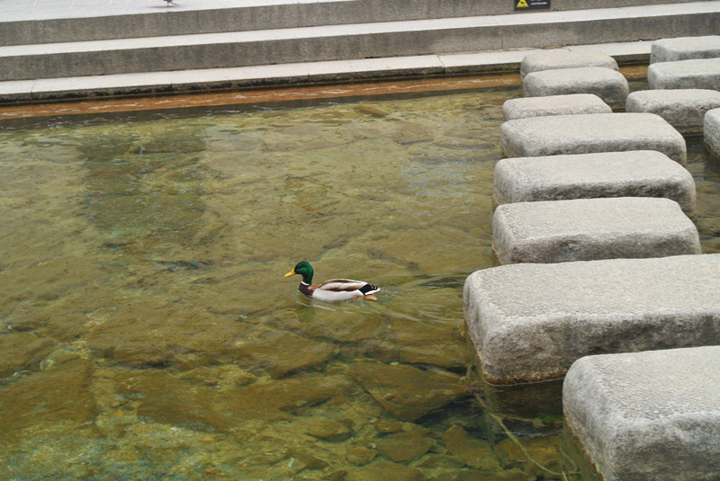 清溪川