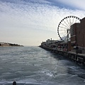 IMG_8478.JPG
