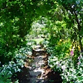 garden001.jpg