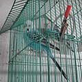 DSC05528.JPG