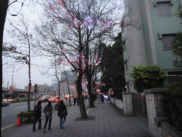 DSC02115.JPG