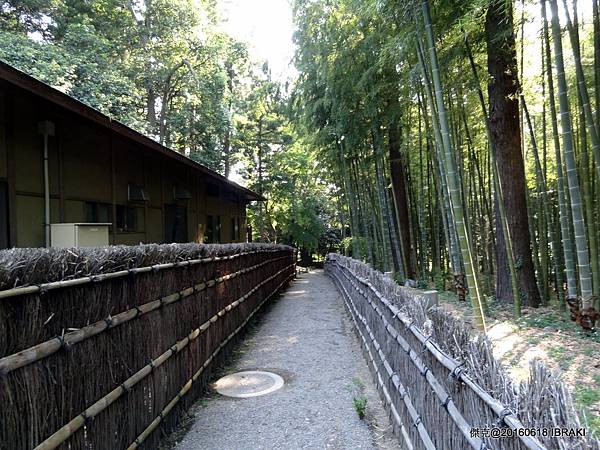 DSC05651.JPG DSC05651.JPG