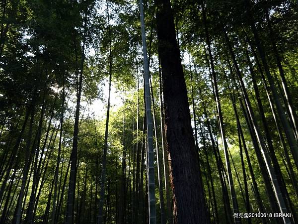 DSC05653.JPG DSC05653.JPG