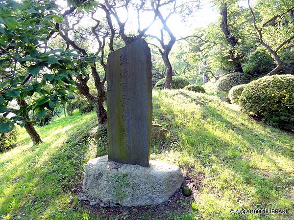 DSC05664.JPG DSC05664.JPG