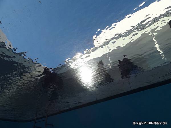 DSC05883.jpg DSC05883.jpg