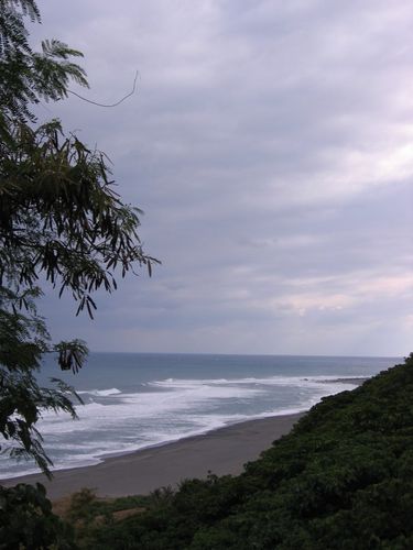金樽海灣