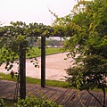 公司宿舍窗外景觀