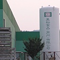 黑松