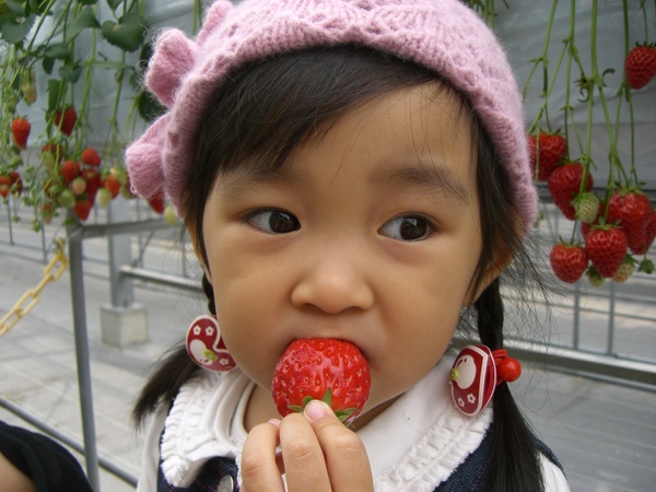 妮妮名古屋採草莓