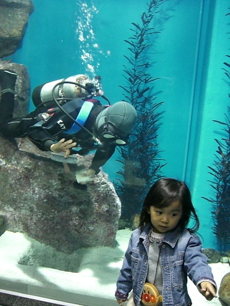 妮妮in名谷屋水族館