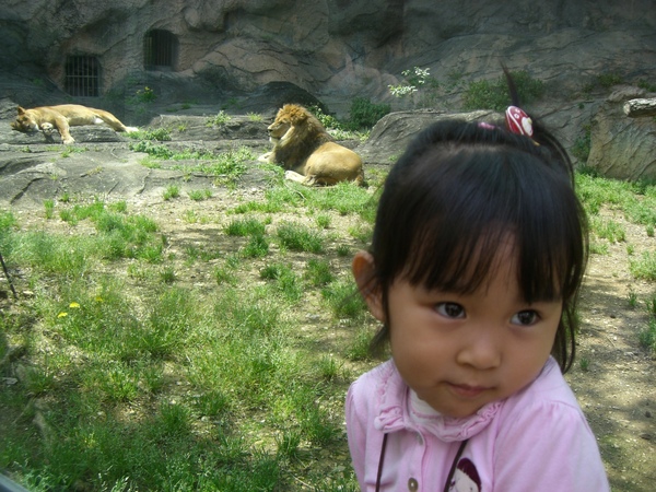 妮妮in名谷屋東山動物園