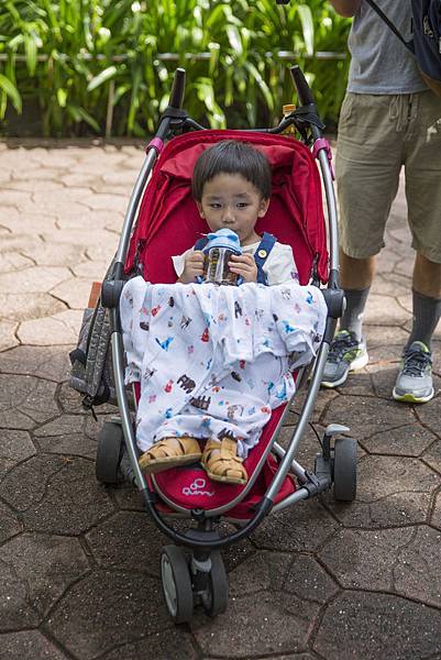 1R2A8489.jpg 1R2A8489.jpg