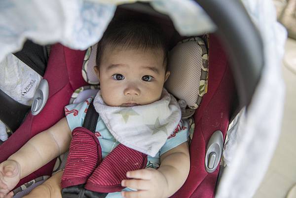 1R2A7946.jpg 1R2A7946.jpg