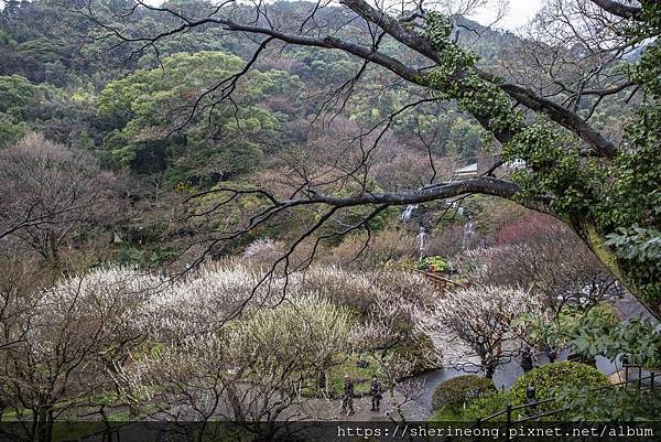 熱海 熱海梅園 梅園祭 天氣不好的十国峠 Chunxin Studio 痞客邦