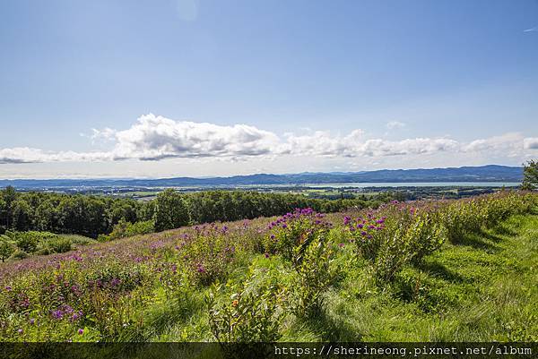 1R2A3041.jpg 1R2A3041.jpg