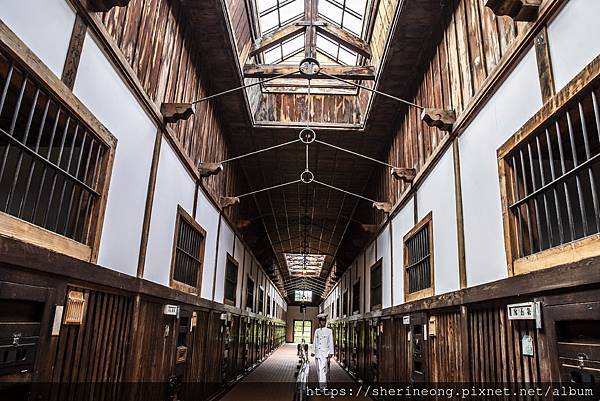 1R2A2991.jpg 1R2A2991.jpg