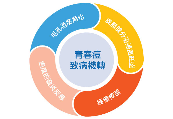 青春痘超詳盡攻略-(專業版)_2.jpg 青春痘超詳盡攻略-(專業版)_2.jpg