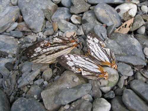 176-1855.jpg 176-1855.jpg