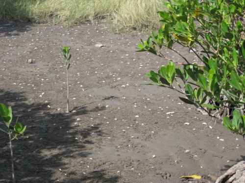 176-2675.jpg 176-2675.jpg