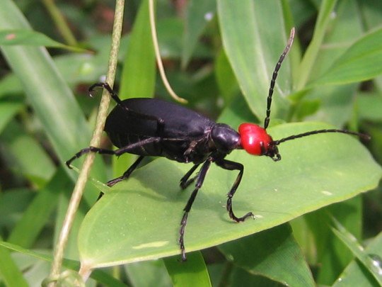 176-4665.jpg 176-4665.jpg