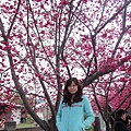 DSC05490_調整大小.jpg