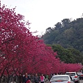 DSC05509_調整大小.JPG