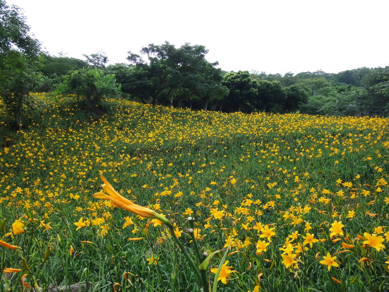 DSC05915_調整大小