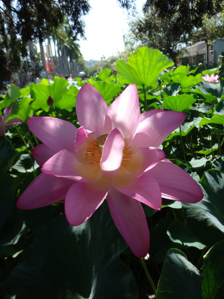 DSC09513_調整大小