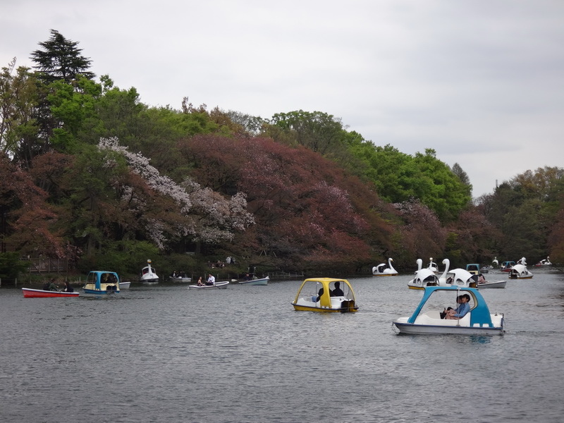 DSC07126.JPG DSC07126.JPG