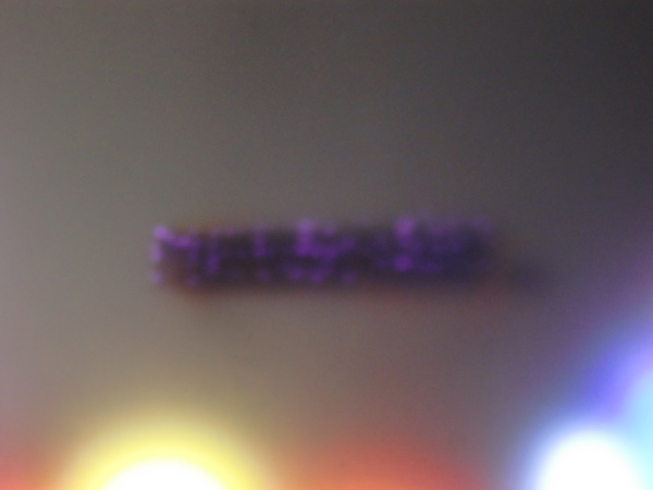 CIMG0806.JPG
