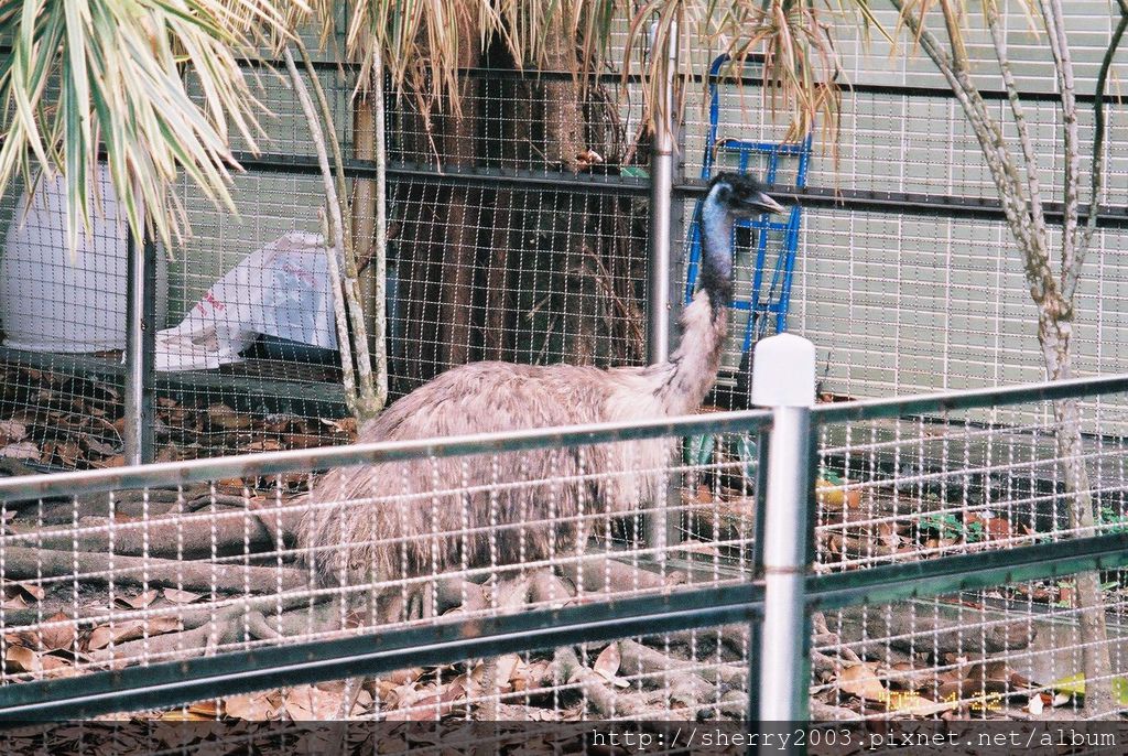 2005-04-22-台北_木柵動物園_34